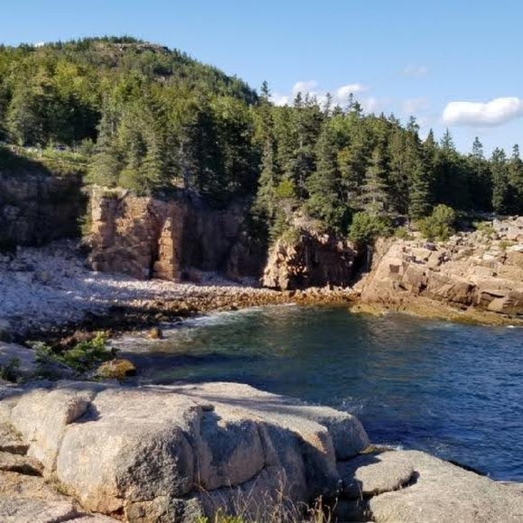 Meet your Posher, Fortunata - Picture 3 of 4